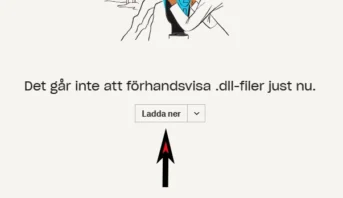ladda ner -1
